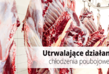 Utrwalające działanie chłodzenia poubojowego