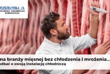 Nie ma branży mięsnej bez chłodzenia i mrożenia… Jak zadbać o swoją instalację chłodniczą