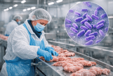 Nowe prawo vs. Listeria monocytogenes. Czy zdążysz do 1 lipca 2026?