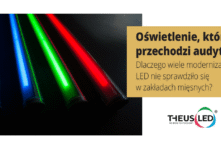 Oświetlenie, które przechodzi audyt. Dlaczego wiele modernizacji LED nie sprawdziło się w zakładach mięsnych?